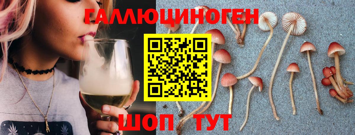 Галлюциногенные грибы мицелий Советск