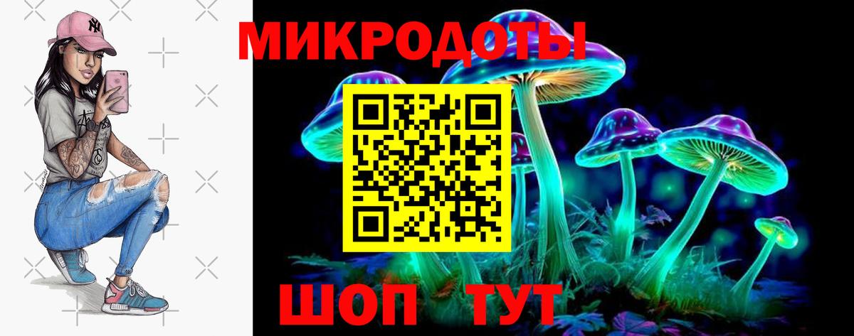 Советск  Псилоцибиновые грибы Psilocybine cubensis  Галлюциногенные грибы Cubensis  Вход с VPN 